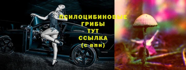 кокс Инсар