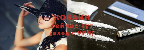 кокс Инсар
