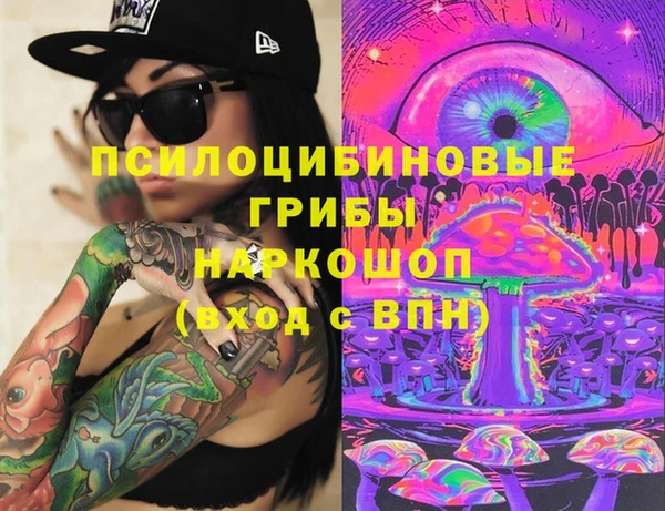 кокс Инсар