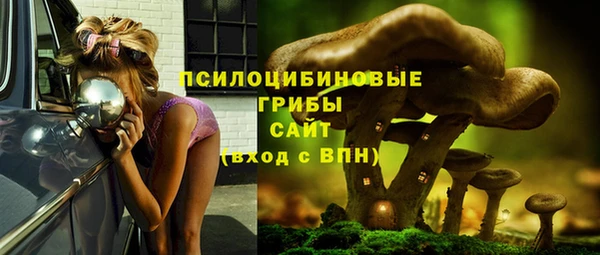 мдпв Иннополис