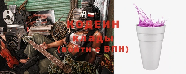 мдпв Иннополис