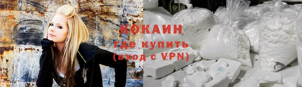 кокс Инсар